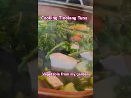 Cooking Tinolang Tuna and vegetables from my garden