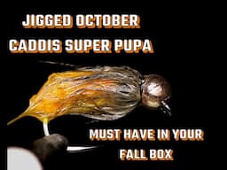 Simon's Jigged October Caddis Super Pupa: Must Have Jigged Fall Nymph Tying Tutorial