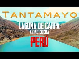 Lagunas de Carpa y Asiac Cocha, Huánuco - Perú