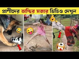 অস্থির প্রাণী 😂 এদের কান্ড দেখে কিছুই বলার নেই | Funny Animals Video / Bangla Countdown | Real Fact