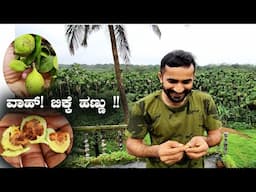 ಬರಿಗಿಸೆಯ ಬಾಲ್ಯದ ಚಾಕೊಲೆಟ್ ಹಣ್ಣು  "ಬಿಕ್ಕೆ ಹಣ್ಣು" | Time to Recall Childhood Memories | Kannada Vlogs