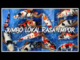 REVIEW PAKET KOI JUMBO LOKAL RASA IMPOR, DIJAMIN PUAS