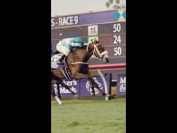 Moira wins the Maker's Mark Breeders' Cup Filly & Mare Turf