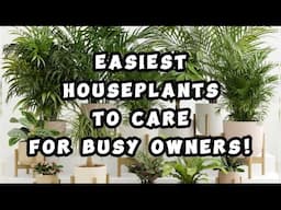 21 Easiest Houseplants to Care for Busy Owners! #indoorplants #homedecor #plants