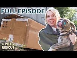 Rescuing a Puppy Who Was Thrown Out With the Trash! | The Dog Rescuers - Season 2 Episode 8