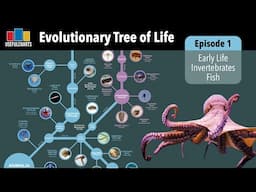 Evolutionary Tree of Life | Episode 1 - Early Life, Invertebrates & Fish