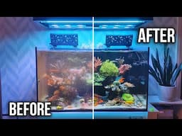 Not Cleaning My Reef Tank Was A BIG Mistake