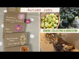 October Jobs in the Garden