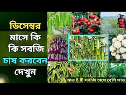 ডিসেম্বর মাসে কি কি সবজি চাষ করবেন দেখুন -  মাত্র ৪ টি সবজি চাষে বেশি লাভ - শীতকালীন সবজি চাষ