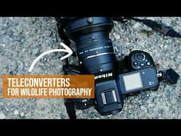 Teleconverters are NOT the answer.  Should you buy? Do we need extenders in WILDLIFE Photography?