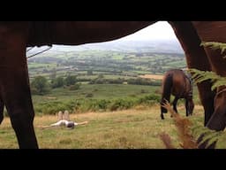 A little horse adventure in Wales