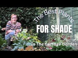 HOW TO PLANT A SHADY BORDER IN THE COTTAGE GARDEN