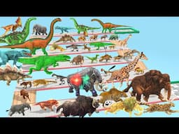 Which Animal vs Dinosaurs Speed Race Run Zigzag Down Course! from Outside Animal Revolt Battle Simul