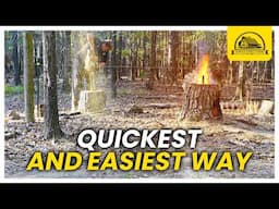 Can I Burn Large Tree Stumps Like a Rocket With This Easy Method?