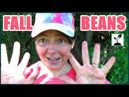 Beans | Fall Garden Planning And Planting