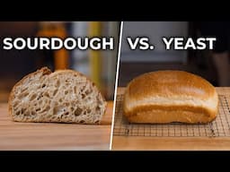 Sourdough vs. “Normal” Bread. What’s the Difference?