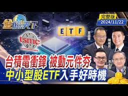 台積電衝鋒 被動元件夯 中小型股ETF入手好時機 ft.殷乃平 陳威良 馮志源 葉國華｜金臨天下20241122 完整版  @tvbsmoney