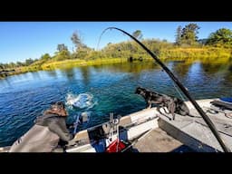 Catching GIANT FISH in a Tiny River w/ @AddictedFishing  (CATCH CLEAN COOK)