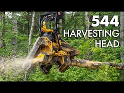 Tigercat 544 Harvesting Head in a Mixed Stand