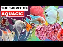 THE SPIRIT OF AQUAGIC | AQUARIUM EXHIBITION | 5TH AQUAGIC | AQUARIUM FISH | FISH TANKS