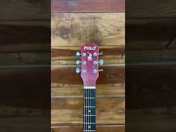 Polo guitar natural color | #shortsvideo #pologuitar #musicinstruments #acousticguitar