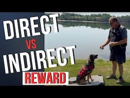 The Power of Food Rewards in Dog Training | Direct & Indirect Reward