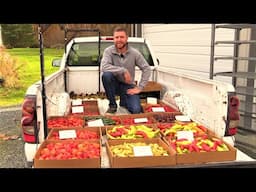 Hot Pepper Harvest 2021