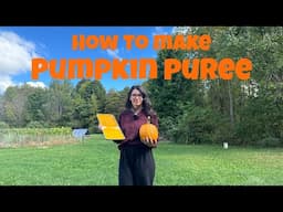 How To Make Pumpkin Puree