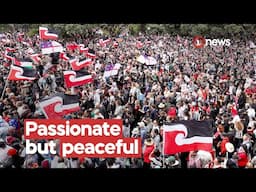 Nationwide hīkoi arrives at Parliament | 1News on TVNZ+