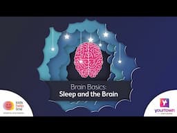 Brain Basics: The sleep deprived brain