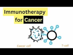 Immunotherapy for cancer treatment - Work being done by MPP improve access to cancer therapy