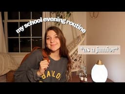 My school evening routine