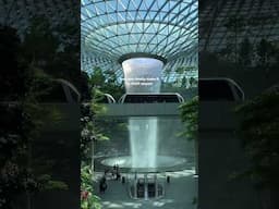 Layover? More like play-over at Jewel Changi 🛝