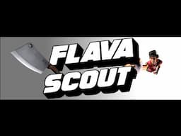 FLAVA SCOUT