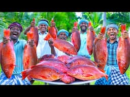 RED SNAPPER FISH | Big Fish Grill Recipe Cooking in Village | Fish Fry in Clay | Ancient Cooking