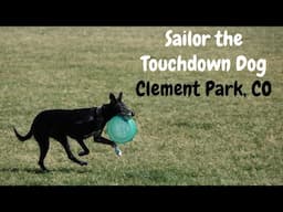 Clement Park Quadruped Training Session