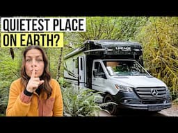 RV Road trip Into One of America's Last Rainforests