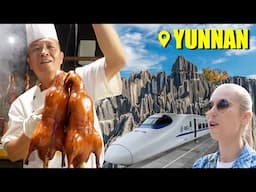 China’s BEST roast duck? Forest of STONE? First class train for $4?? ONLY IN YUNNAN!