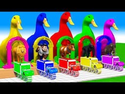 5 Giant Duck Cartoon, Cow, Mammoth, Elephant, Lion, Paint Wild Animals Crossing Fountain Animation