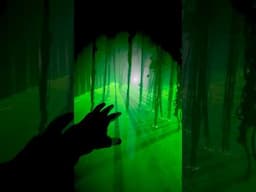 Markoff’s Haunted Forest is the Scariest Haunted Trail in the DMV #hauntedhouse #hauntedtrail