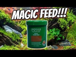 Is it Magic?  Let’s Check Out the Aquarium Coop Magic Nano Feed!