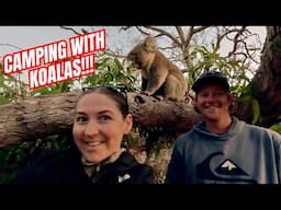 Camping with Koalas on the Eyre Peninsula! Mikkira Station Stay!