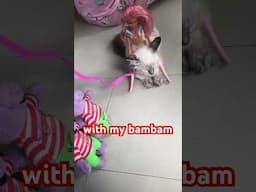 my cutie baby bambam #shortvideo #viralvideo