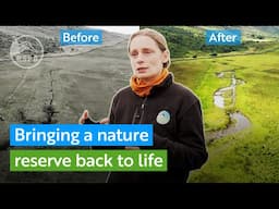 Helping nature restore itself - Bringing a river back to life | RSPB