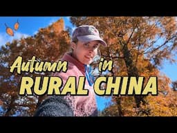 A taste of my American childhood, in a Chinese mountain village! 🍂 我在浙江的山村遇到了老家的味道！