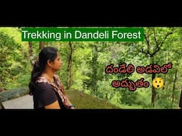 Trekking vlog in Dandeli | Dandeli లో ట్రెక్కింగ్ అడ్వెంచర్ అద్భుతం 😲 | Best Experience in Dandeli