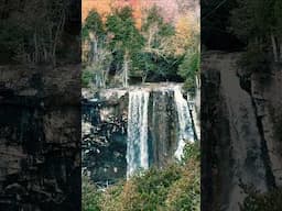 Waterfalls in Autumn 🍂 #waterfall #fallseason #autumn #autumnleaves