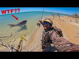 3 Days Camping, Fishing & Hunting for Giant Fish - Remote Australia