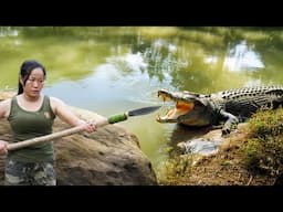 Angry Because Crocodile Attacked Farm - Intense Battle with Clever Trap Tactics!