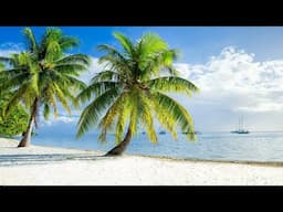 Beach Relaxation Cafe Bossa Nova with Seaside Jazz Music & Ocean Waves Sounds for Good Mood